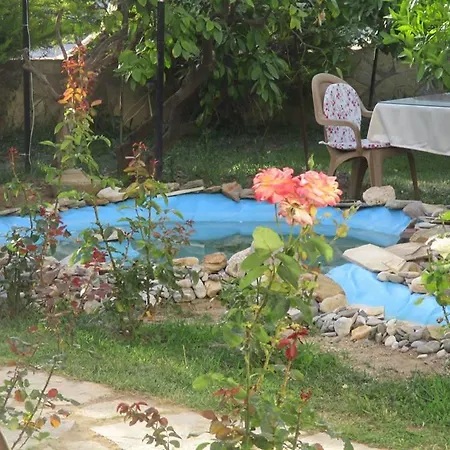 Hotel Mandarin Beach *