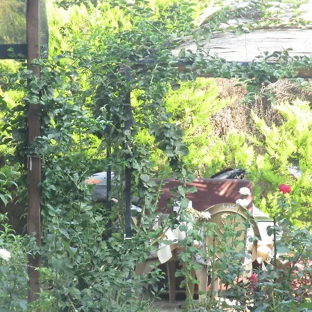 Hotel Mandarin Beach *