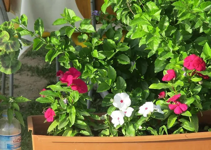 Mandarin Beach Hotel *