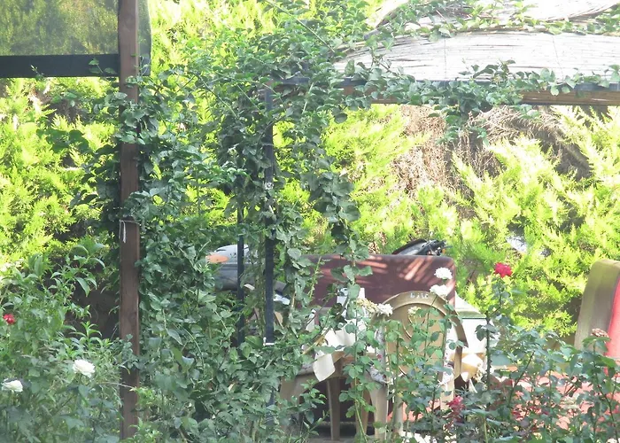 Hotel Mandarin Beach *